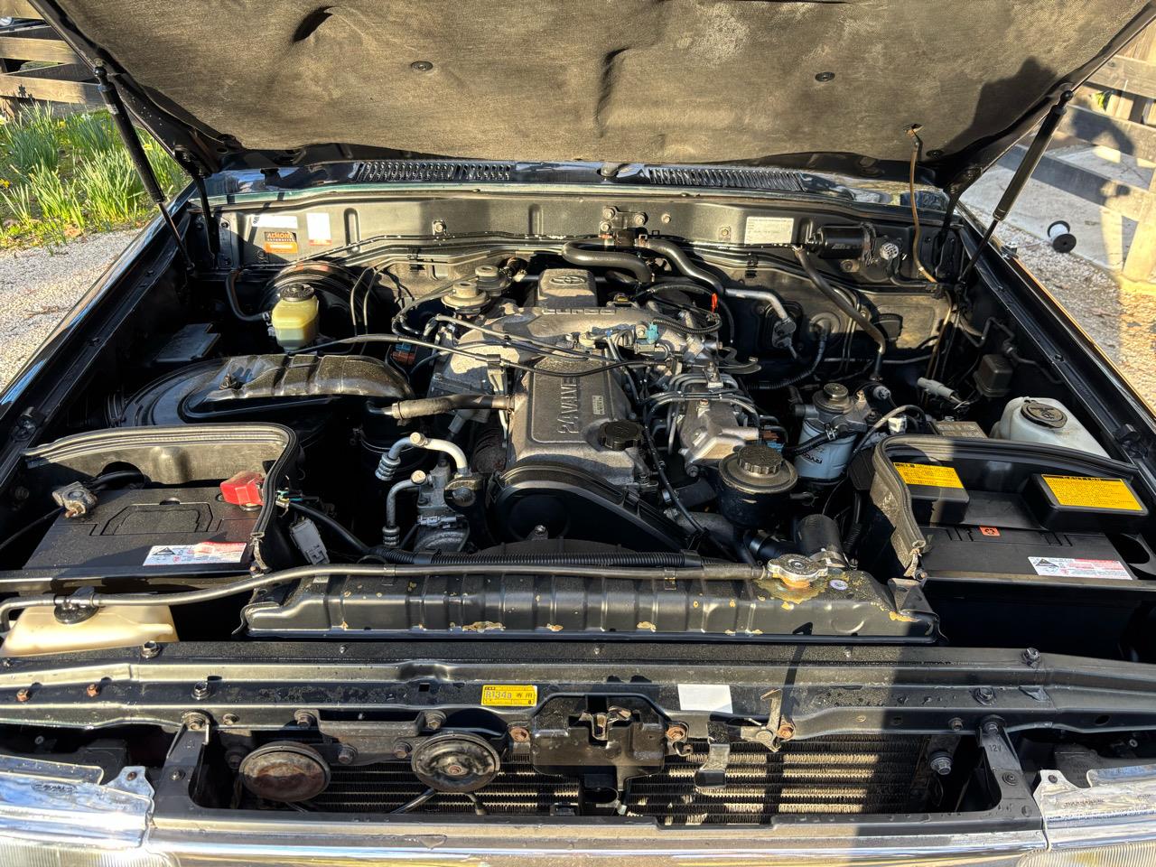 1995 Toyota Land Cruiser